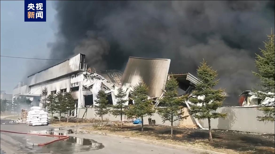 摇钱树摇钱树论坛香港